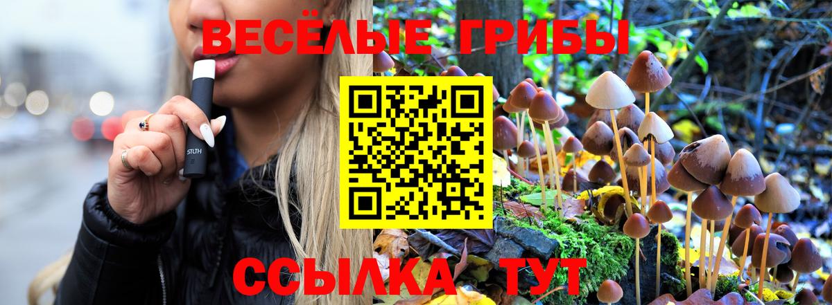 Галлюциногенные грибы Cubensis Орск